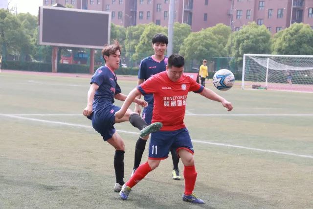 潜力无穷！中国或将迎来新的科技巨头